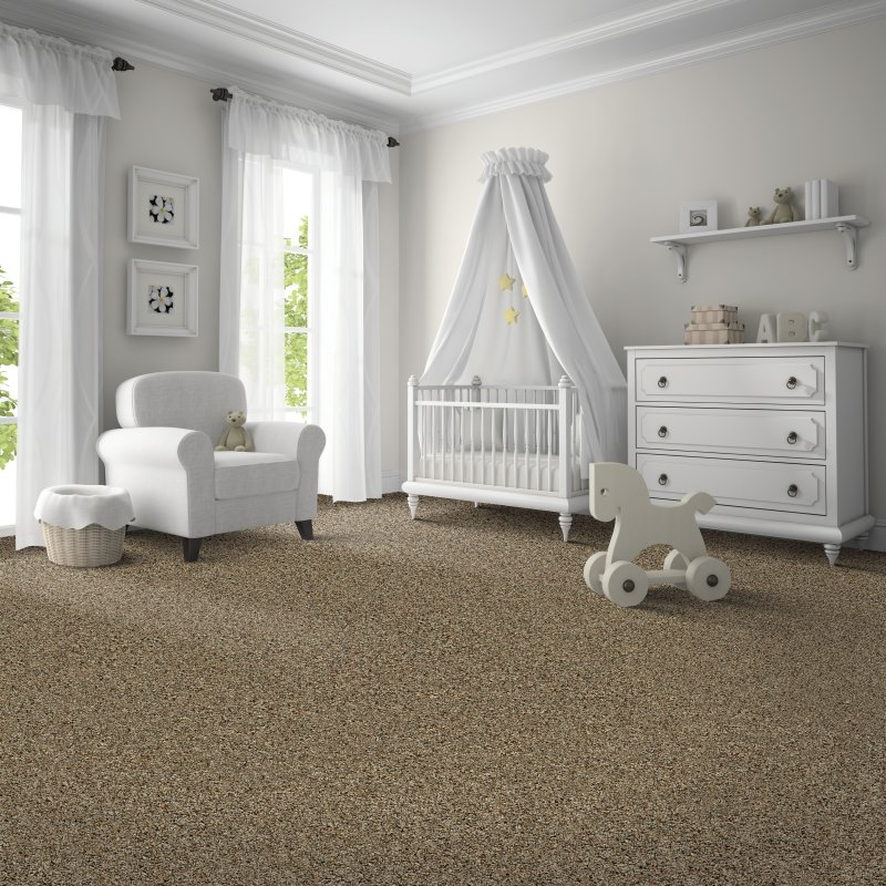 76 Floors providing stain-resistant pet proof carpet in Santa Clarita, CA